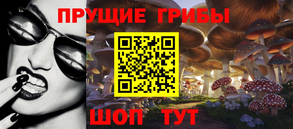 Ачхой-Мартан  Галлюциногенные грибы мицелий  Галлюциногенные грибы GOLDEN TEACHER  Вход с VPN 